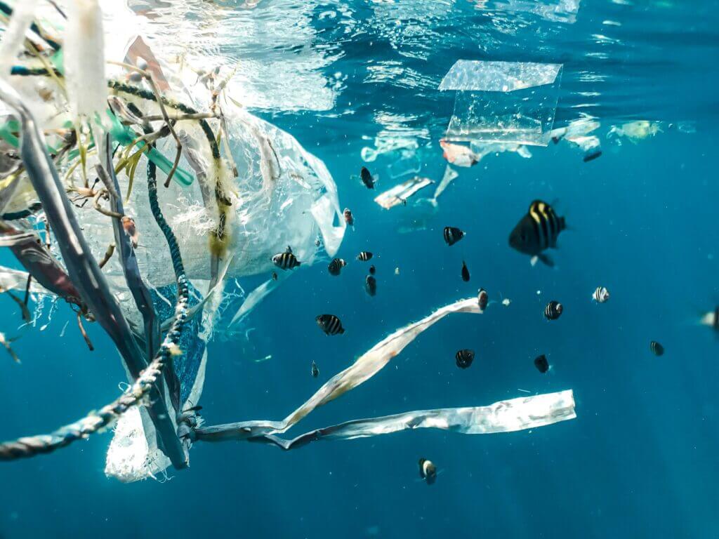 How is using plastic harming both your business and the environment